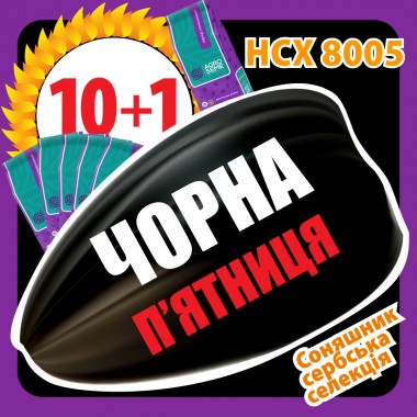 Насіння соняшнику НС Х 8005 Сумо/Гранстар