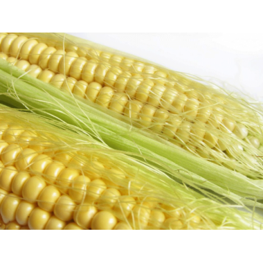 Семена кукурузы ЕС Лаймс