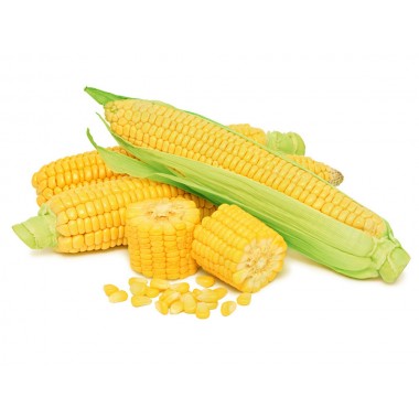 Семена кукурузы НС-2922