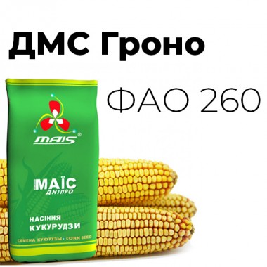 Семена кукурузы ДМС Гроно (ФАО 260)  