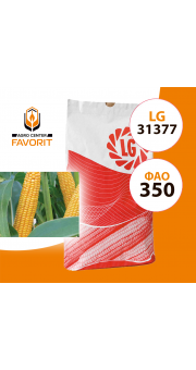 Насіння кукурудзи ЛГ 31377 (LG 31377) ФАО 350