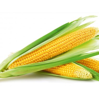 Семена кукурузы ДКС 3472