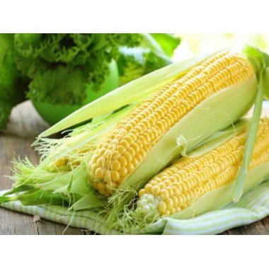 Семена кукурузы ДКС 3711