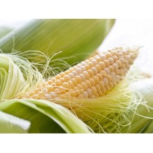Семена кукурузы ДКС 5143