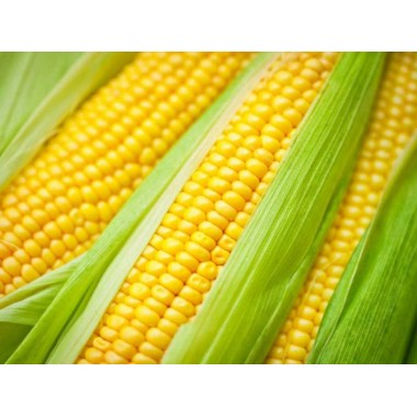 Семена кукурузы ДКС 4014