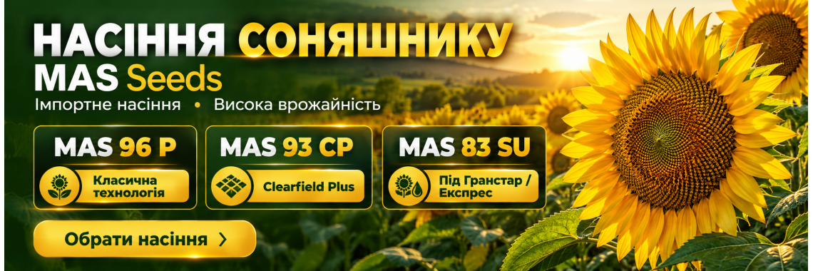Насіння соняшнику