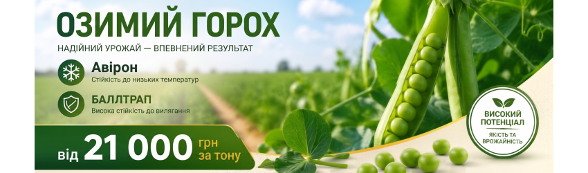 горох