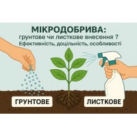 Мікродобрива: ґрунтове чи листкове внесення? Ефективність, доцільність, особливості