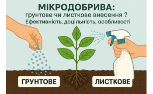 Мікродобрива: ґрунтове чи листкове внесення? Ефективність, доцільність, особливості