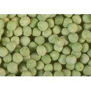 Горох  Зекон (Ярий) Горох  Зекон (Ярий)