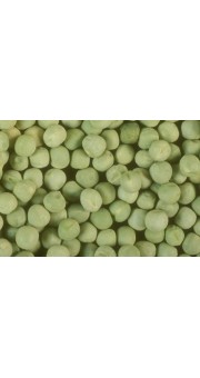 Горох  Зекон (Ярий)