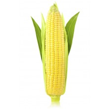 Семена кукурузы Реалли КС (ФАО 420)