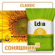 Гібрид соняшнику ES BELLA CLASSIC*(G+)