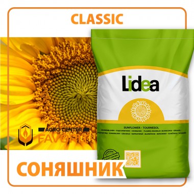 Гібрид соняшнику ES ROSALIA CLASSIC*(F)