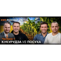 Кукурудза-2025: Як перетворити хаос на маржу, коли GPS «в Лімі», а стратегії минулого мертві
