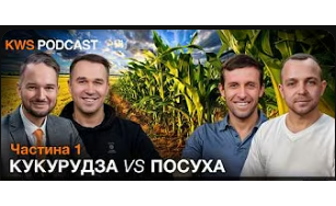 Кукурудза-2025: Як перетворити хаос на маржу, коли GPS «в Лімі», а стратегії минулого мертві
