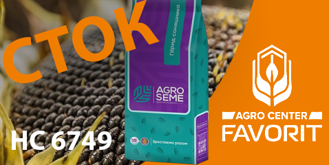 Мішок насіння НС 6749 Агро Семе