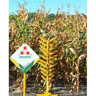 Семена кукурузы ДМС 2911 (ФАО 290)