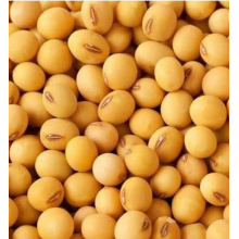 Посівна соя ОАЦ Страйв