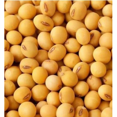 Посівна соя ОАЦ Страйв