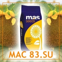 Насіння соняшнику МАС 83.SU Гранстар Лінолевий