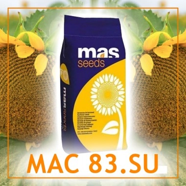Насіння соняшнику МАС 83.SU Гранстар Лінолевий