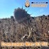 Насіння соняшнику МАС 83.SU Гранстар Лінолевий