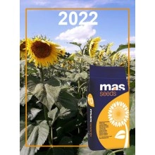 Насіння соняшнику МАС 89.HOCL / MAS 89.HOCL (2022)