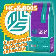 Насіння соняшнику НС Х 8005 Сумо/Гранстар Насіння соняшнику НС Х 8005 Сумо/Гранстар