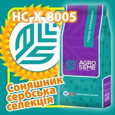 Насіння соняшнику НС Х 8005 A-G+, високоолійне (new) Стандарт