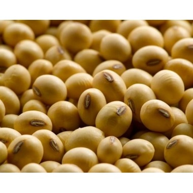 Канадска посівна соя S007-Y4 ультрарання