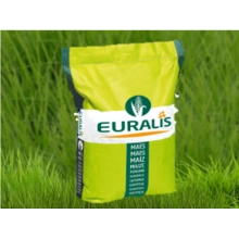 Насіння кукурудзи ЄС Гарант Насіння кукурудзи ЄС Гарант