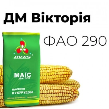 Насіння кукурудзи ДМ Вікторія