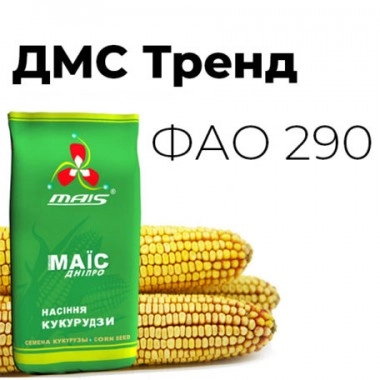Насіння кукурудзи ДМС Тренд (ФАО 290)