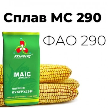 Насіння кукурудзи Сплав МС 290
