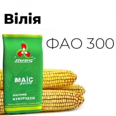 Насіння кукурудзи Вілія
