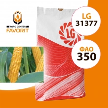Насіння кукурудзи ЛГ 31377 (LG 31377) ФАО 350