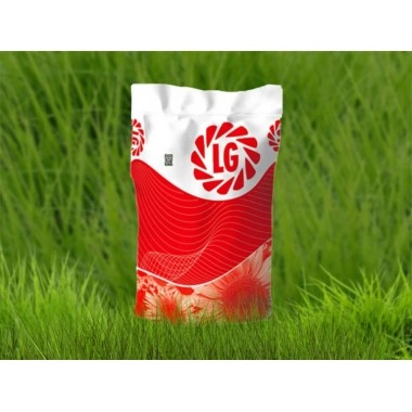 Насіння соняшнику ЛГ 5542