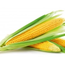 Насіння кукурудзи ДКС 3472 Насіння кукурудзи ДКС 3472