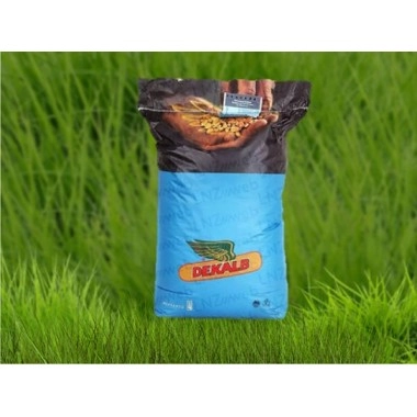 Насіння кукурудзи ДКС 4685