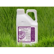 Фунгіцид Беркут