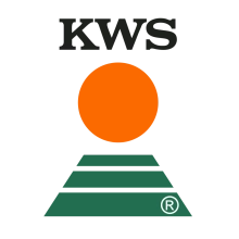 Насіння озимої пшениці "Джерсі" KWS