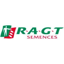 Насіння озимої пшениці "Лінус" RAGT