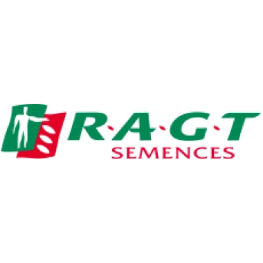 Насіння озимої пшениці "Лінус" RAGT