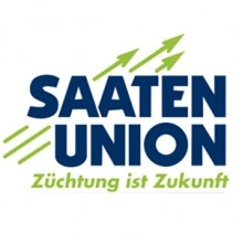 Насіння озимої пшениці "Бонанза" Saaten union