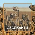 Десиканти (5)
