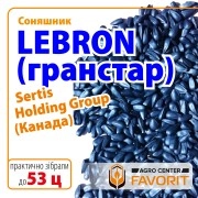 Гібрид соняшнику LEBRON (ЛЕБРОН під Гранстар) Sertis Holding Group (Канада)
