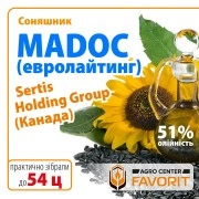 Гібрид соняшнику Madoc (під євролайтнінг) соняшник Мадок від канадського Sertis Holding Group