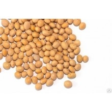 Насіння сої Аполло (середня соя) Насіння сої Аполло (середня соя)