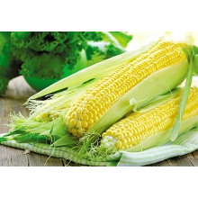 Насіння кукурудзи Аробаз
